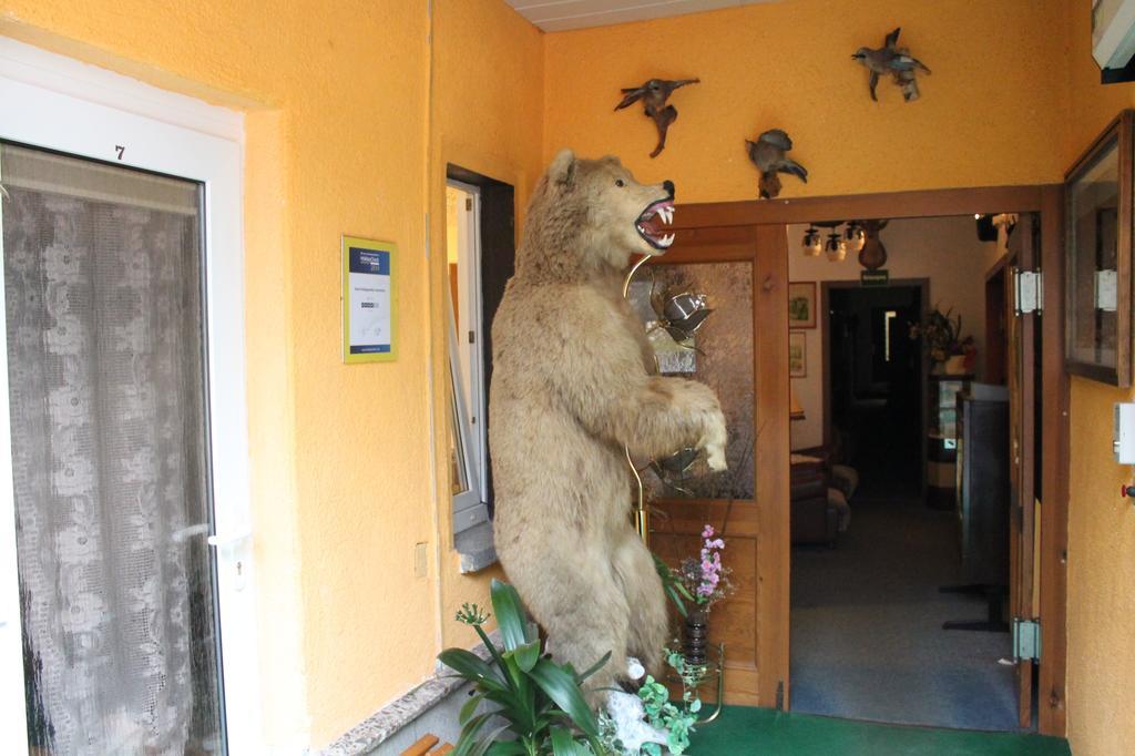 Hotel Waldgaststatte Sennhutte Bad Frankenhausen Zewnętrze zdjęcie